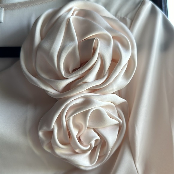 Rachel Zoe Cream champagne front-lined 3d floral statin style blouse size M nwot - Picture 3 of 11